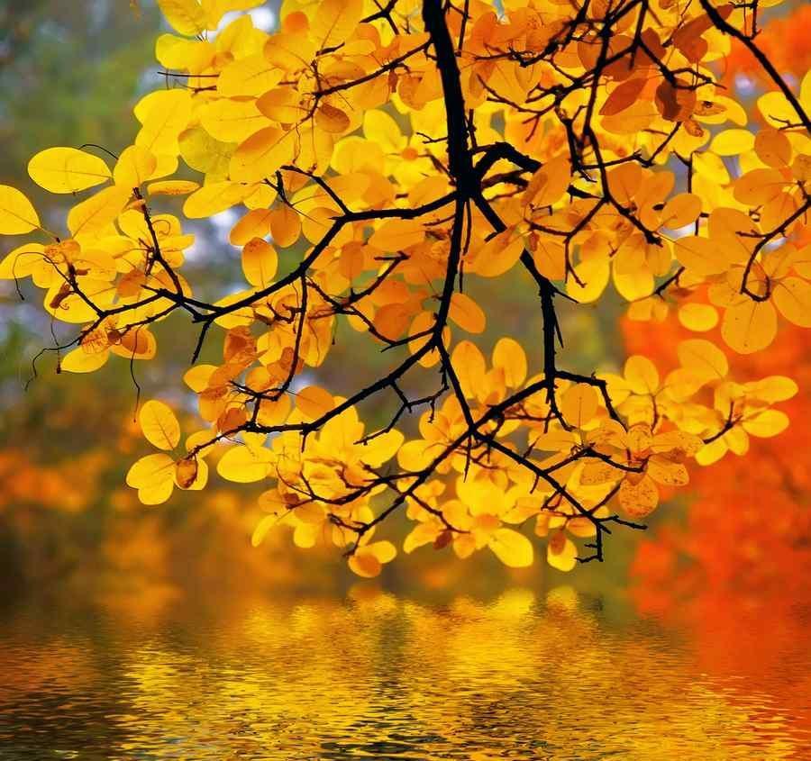 چگونه از زیبایی های فصل پاییز عکس بگیریم؟
