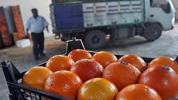 خرید 28 هزار تن میوه شب عید در مازندران